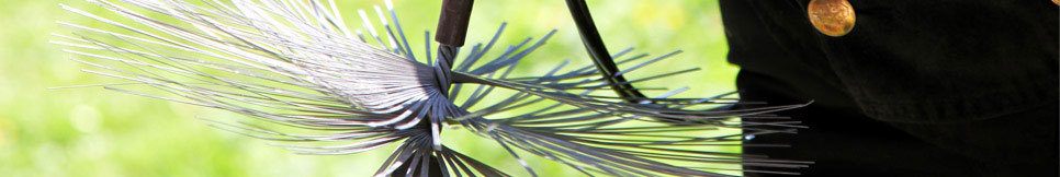 Banner - Harry Günther